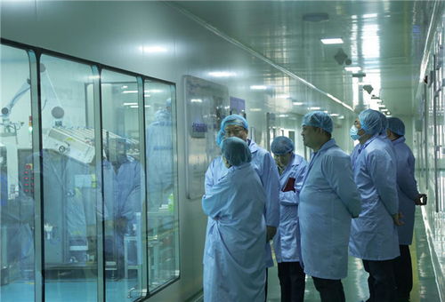 济南市市场监督管理局副局长王晓文一行到福瑞达调研个人卫生用品销售情况